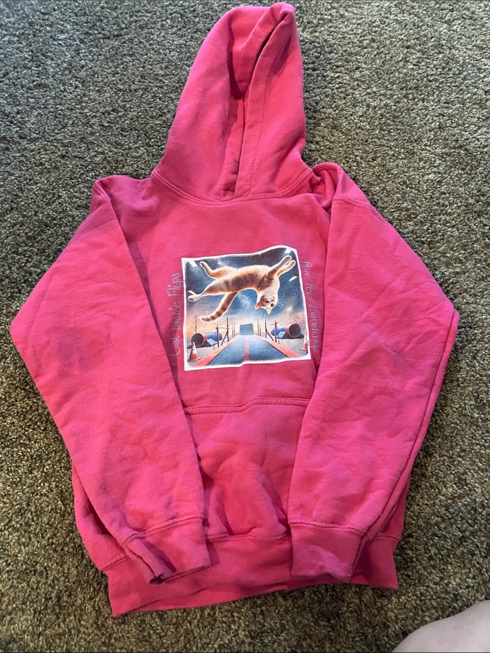 Kids Pink Hooded Sweatshirt with Graphic Cat Print